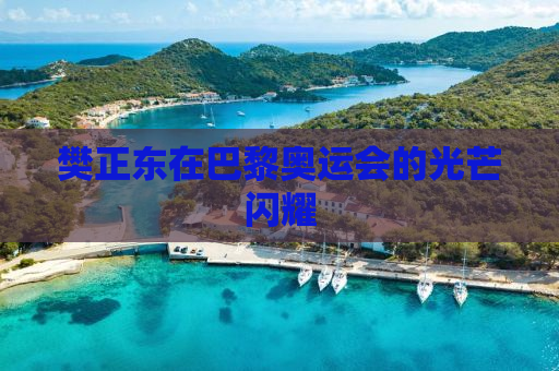 樊正东在巴黎奥运会的光芒闪耀